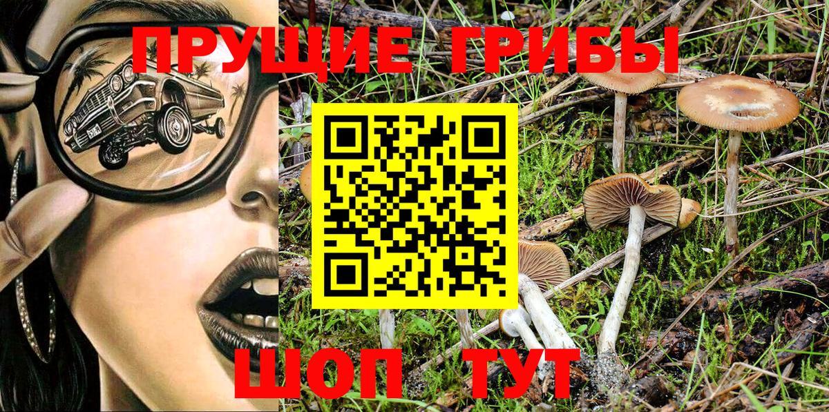 закладки  Псилоцибиновые грибы Psilocybe  Вход с VPN  Геленджик  Псилоцибиновые грибы ЛСД 