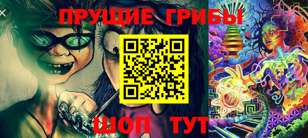 Псилоцибиновые грибы Psilocybe Геленджик